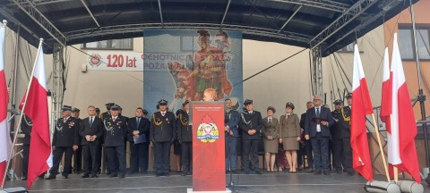 Zdjęcie - 