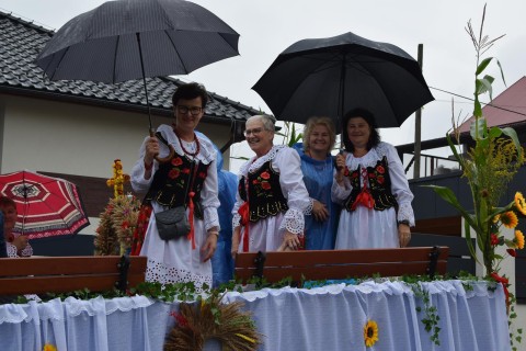 Zdjęcie - 