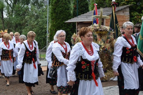 Zdjęcie - 