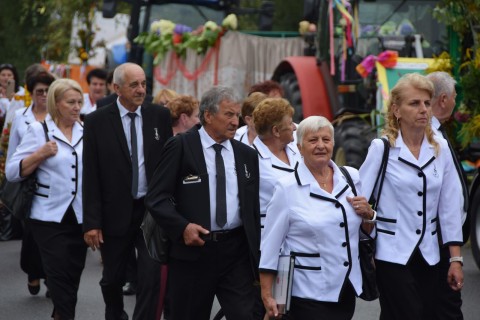 Zdjęcie - 