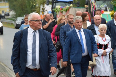 Zdjęcie - 