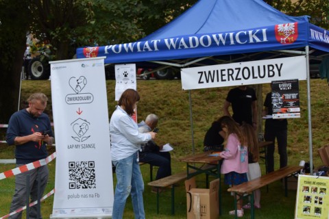 Zdjęcie - 