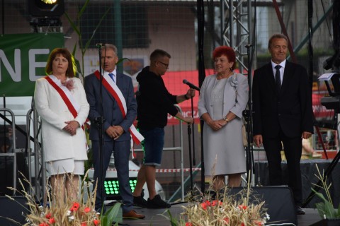Zdjęcie - 