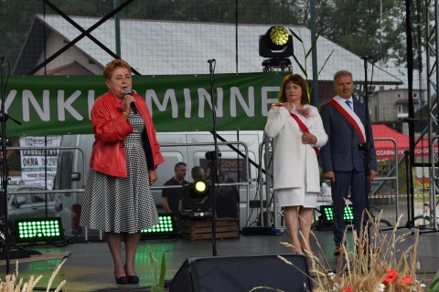 Zdjęcie - 