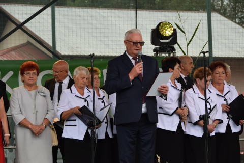 Zdjęcie - 