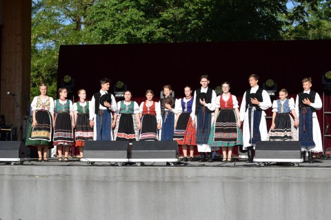 Zdjęcie - 